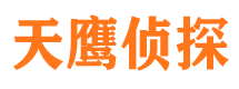 黄龙侦探公司